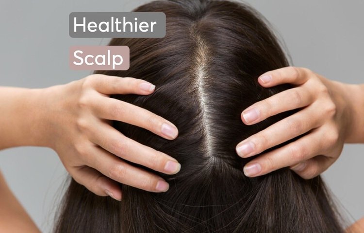 Scalp Check/ Sign OF healthy Scalp
